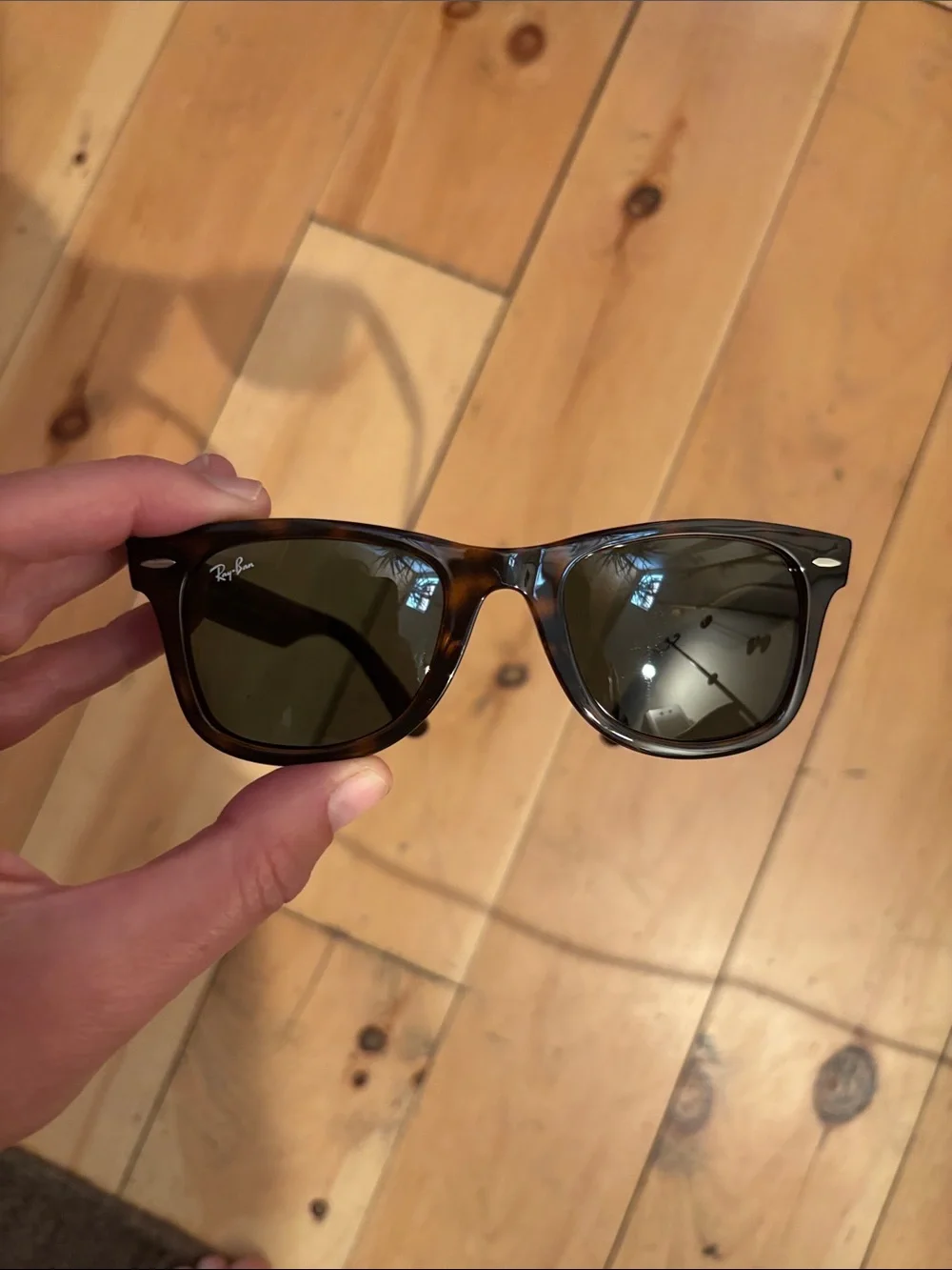 Ray-Ban wayfarer